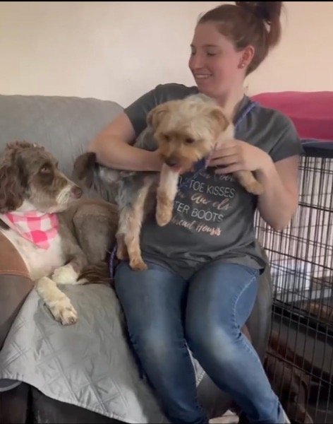 Anna M. relaxing with daycare dogs